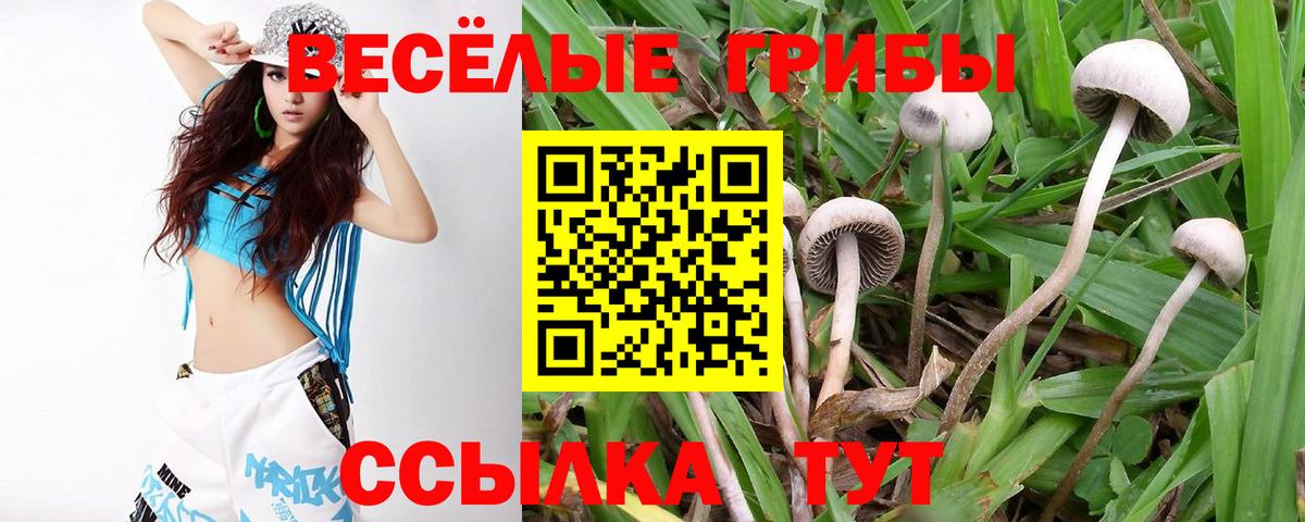 Псилоцибиновые грибы MAGIC MUSHROOMS Армавир
